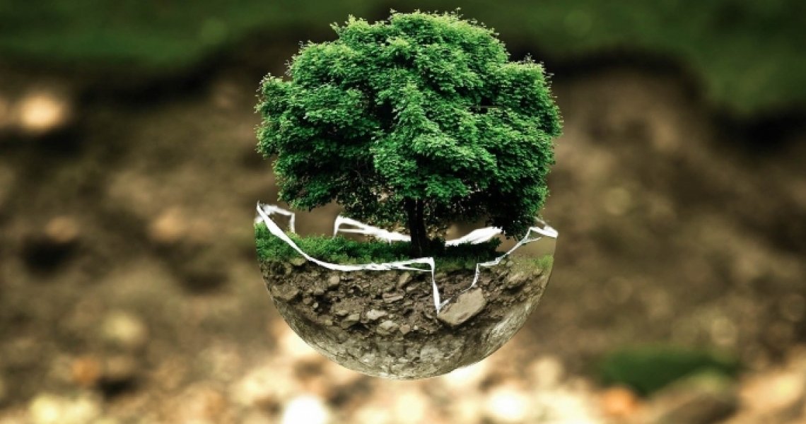 Wróbel: Cele klimatyczne wkraczają do unijnego sektora finansowego [ANALIZA]