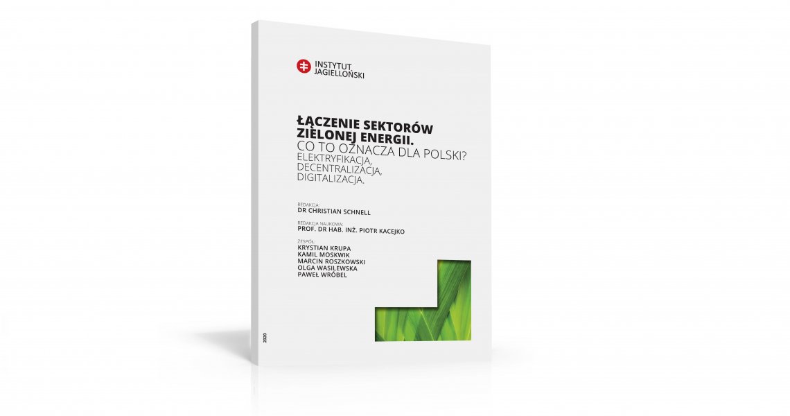 Łączenie sektorów zielonej energii. Co to oznacza dla Polski? [RAPORT]
